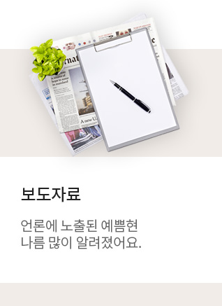 보도자료